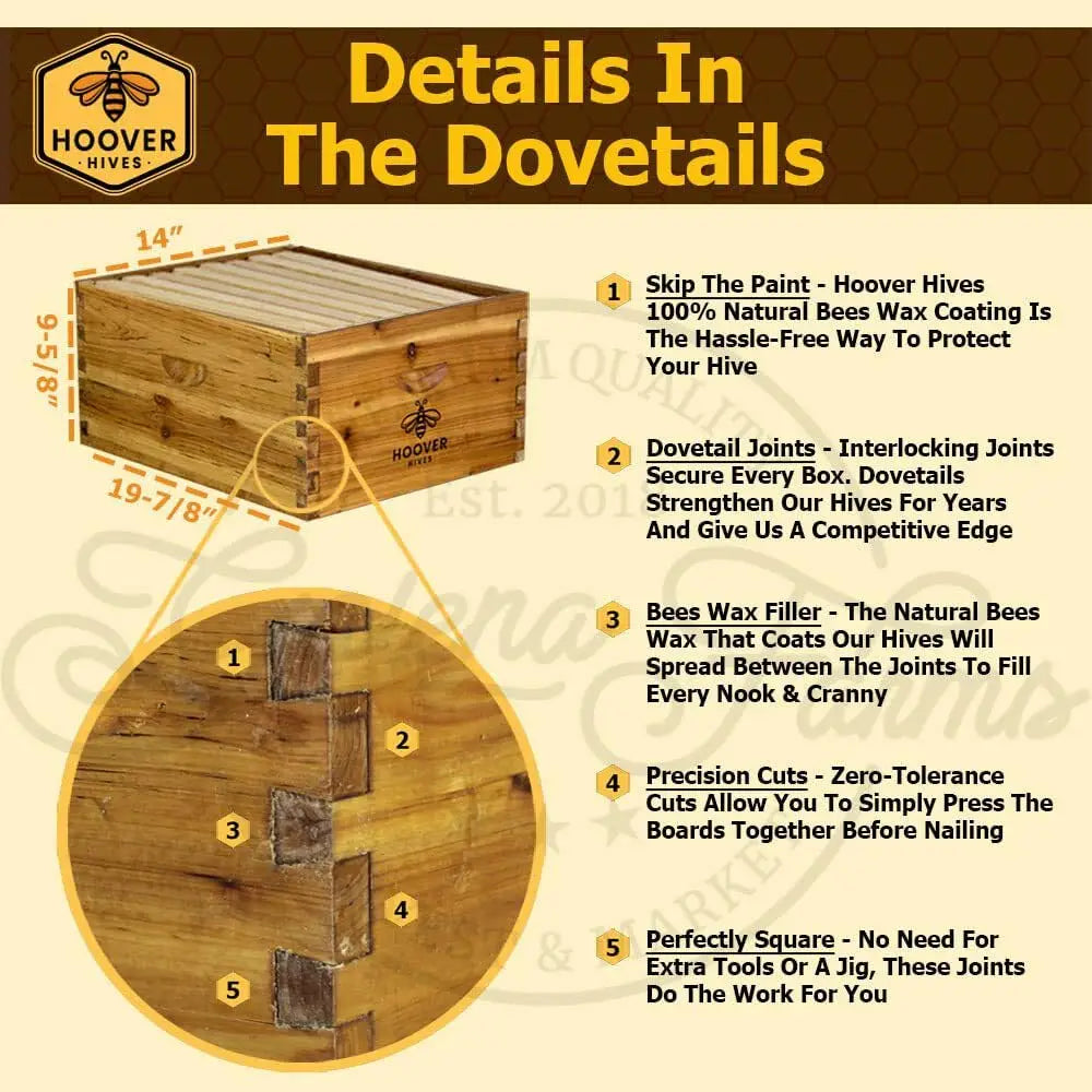 Complete 8-Frame Beehive Kit – Wax-Coated Fir Wood, Includes 2 Deep Brood Boxes, 1 Medium Super, Langstroth Frames, Customized