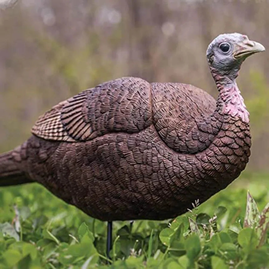 Primos Hunting Lil Gobstopper Hen