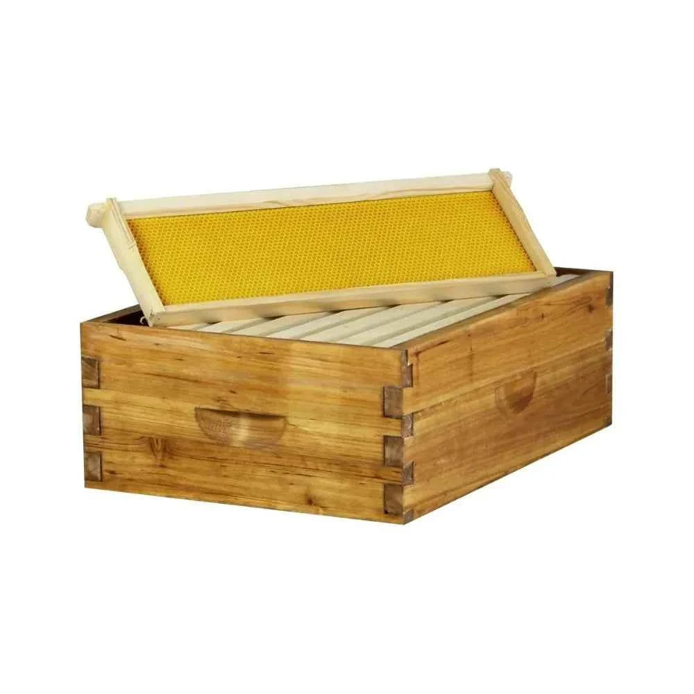 10-Frame Medium Super Box – Wax-Dipped Fir Wood Langstroth Honey Super with Dovetail Joints – Ready to Use