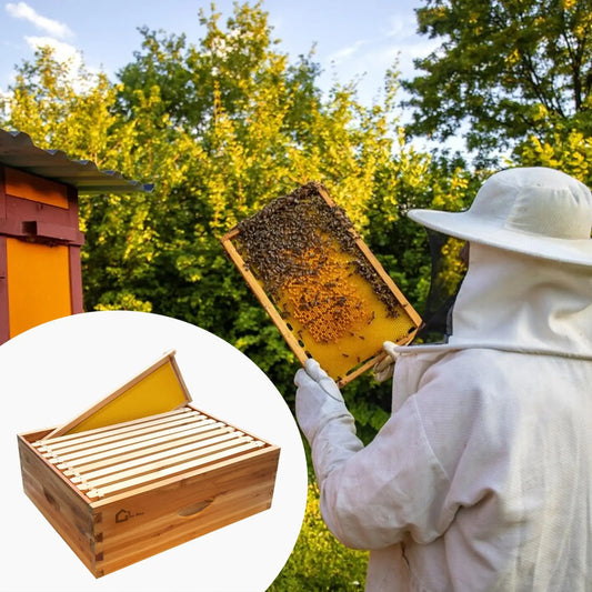 10-Frame Medium Super Bee Box, Wax Coated Bee Hives with Beehives Frames and Wax Foundations, Langstroth Honey Super for Beekeep