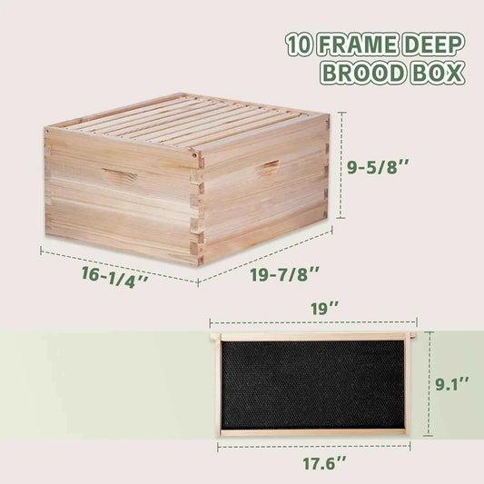 10 Frame Complete Bee Hive Starter Kit Deep Brood Box Medium Super with Frames & Foundation Sheets Beekeeping Equipment, Custom