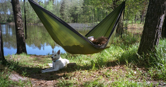 Best Camping Hammock with Mosquito Net 2026: Top 5 Ranked