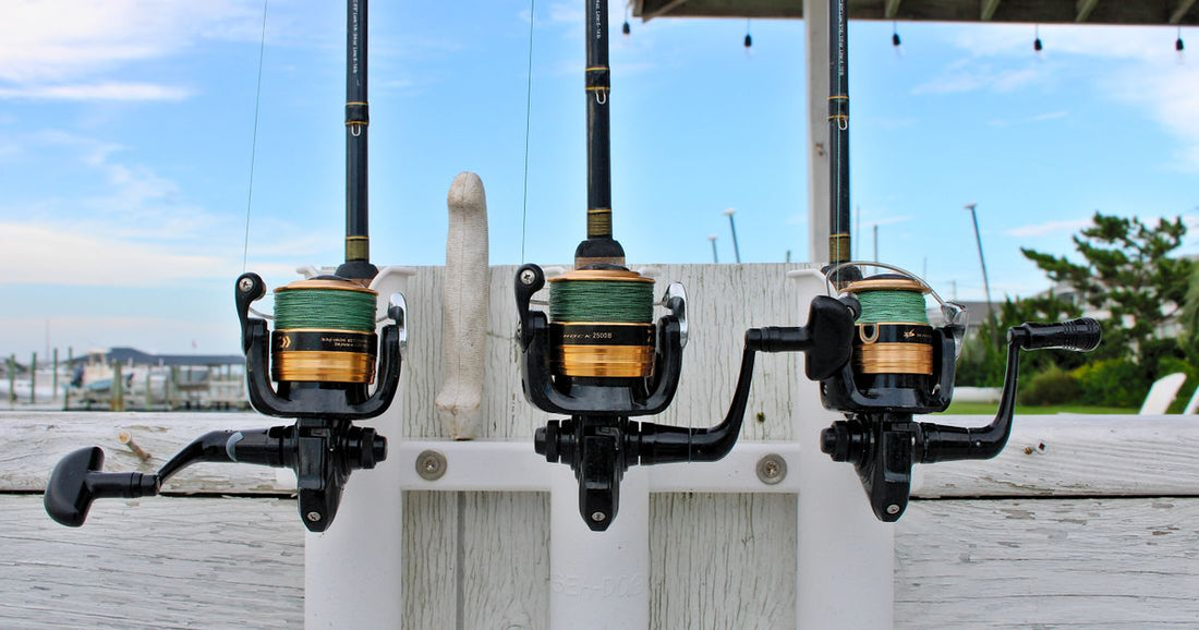 Spinning Reel for Beginners: Complete Guide to Getting Started