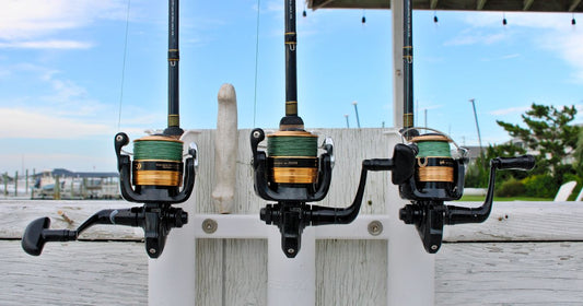 Spinning Reel for Beginners: Complete Guide to Getting Started