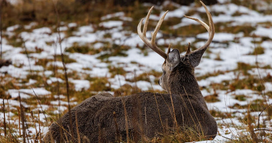 How to Choose a Riflescope for Deer Hunting | beeawesomeoutdoors