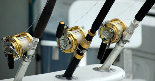 Spinning Reel vs Baitcasting Reel: Which Is Best?