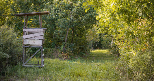 Best Deer Hunting Blind 2026: Top 5 Ranked & Compared