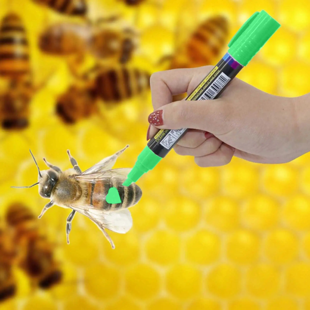New Hot Queen Bee Marking Beekeeper Marker Pen Beekeeping Plastic Marks Pen 5 Colours White Yellow Red Green Blue Bee Tools