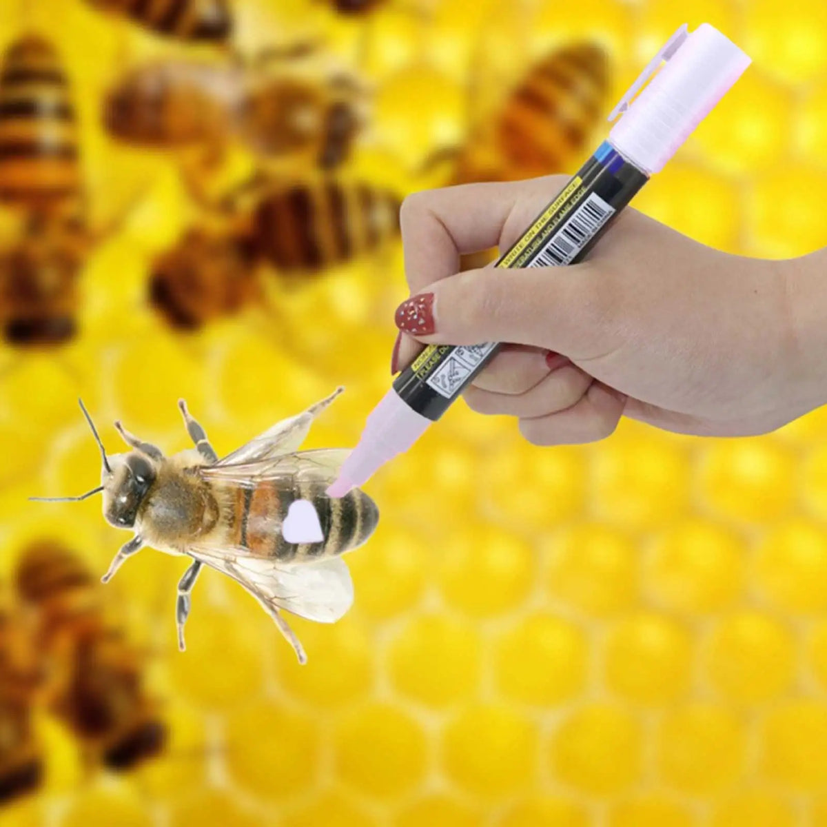 New Hot Queen Bee Marking Beekeeper Marker Pen Beekeeping Plastic Marks Pen 5 Colours White Yellow Red Green Blue Bee Tools