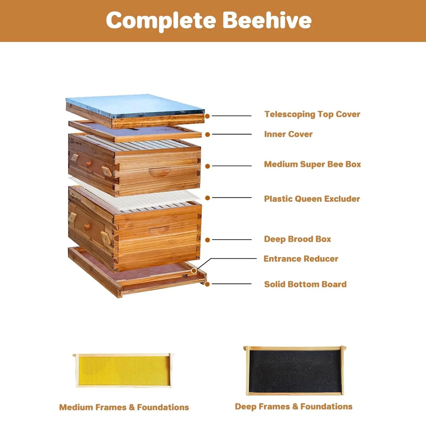 10-Frame Complete Beehive Kit, Wax Coated Bee Hives for Beginner, Includes 1 Deep Box and 1 Medium Bee Box with Acrylic Window, Beehives Frames and Wax Foundations for Beekeeping Supplement
