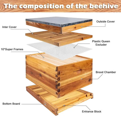 10-Frame Beehive Kit with 24-Piece Beekeeping Tools, Wax-Coated and Painted Hive Boxes, Professional Starter Equipment