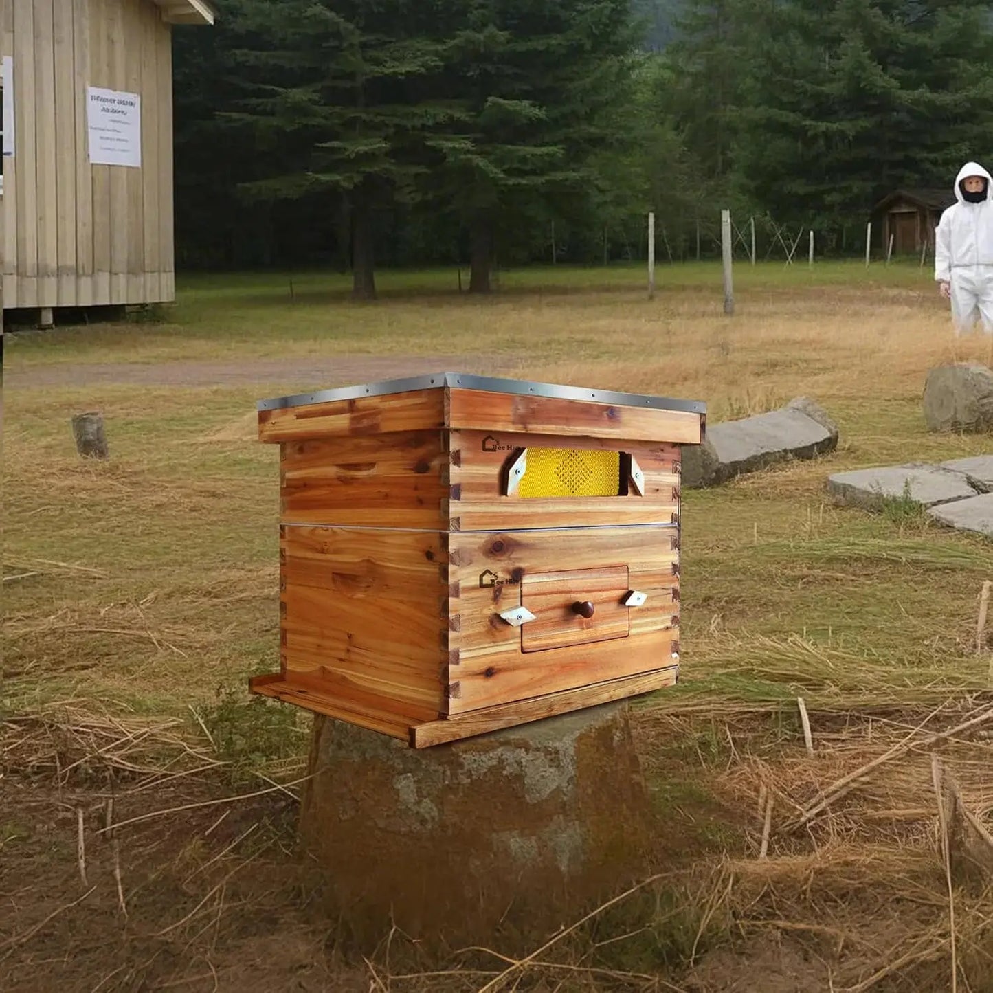 10-Frame Complete Beehive Kit, Wax Coated Bee Hives for Beginner, Includes 1 Deep Box and 1 Medium Bee Box with Acrylic Window, Beehives Frames and Wax Foundations for Beekeeping Supplement