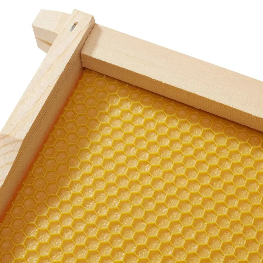 10 Assembled Beehive Frames with Waxed Natural Foundations for Beekeeping,