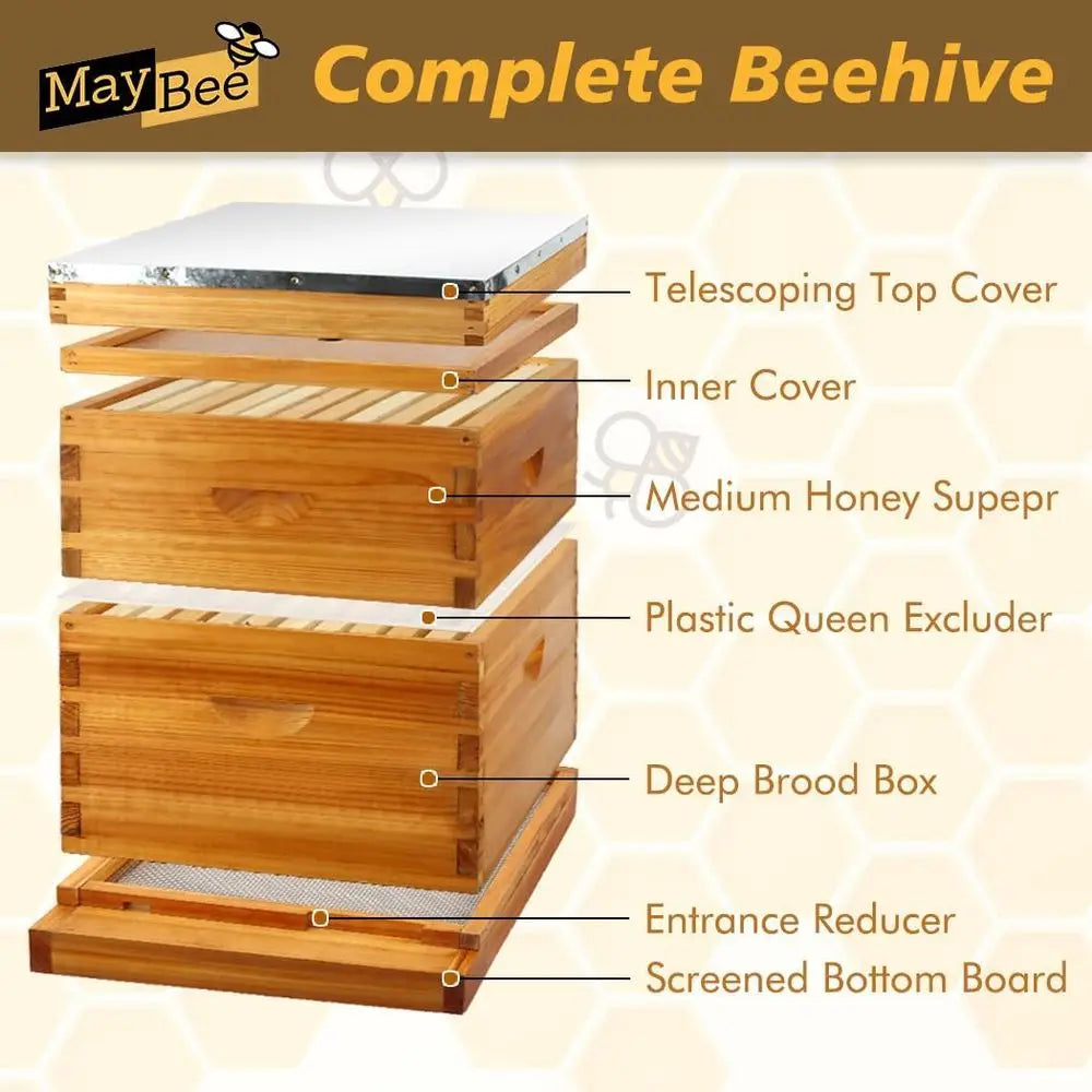 Screened Bottom Board Beehive Kit: 10-Frame with Wax-Coated Foundations, 1 Deep & 1 Medium Box Included