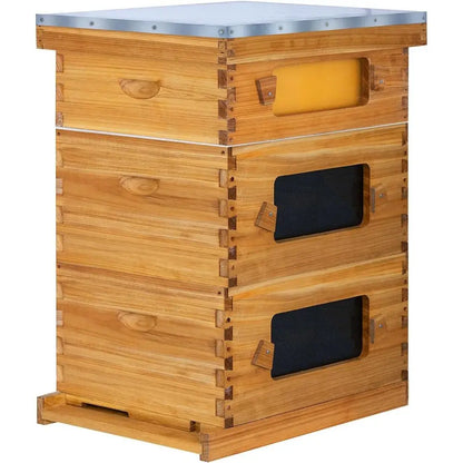 10 Frame Bee Hive Starter Kit with Windows