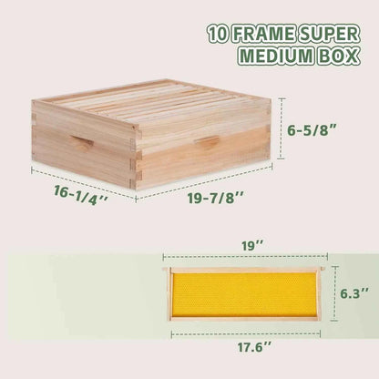10 Frame Complete Bee Hive Starter Kit Deep Brood Box Medium Super with Frames & Foundation Sheets Beekeeping Equipment, Custom