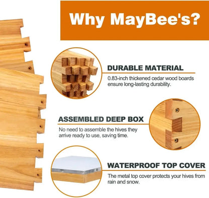 MayBee 10-Frame Beehive Starter Kit, Bee Hive Kit Dipped in 100% Beeswax, Bee Hives Boxes Starter Kit Includes Beekeeping Suppli