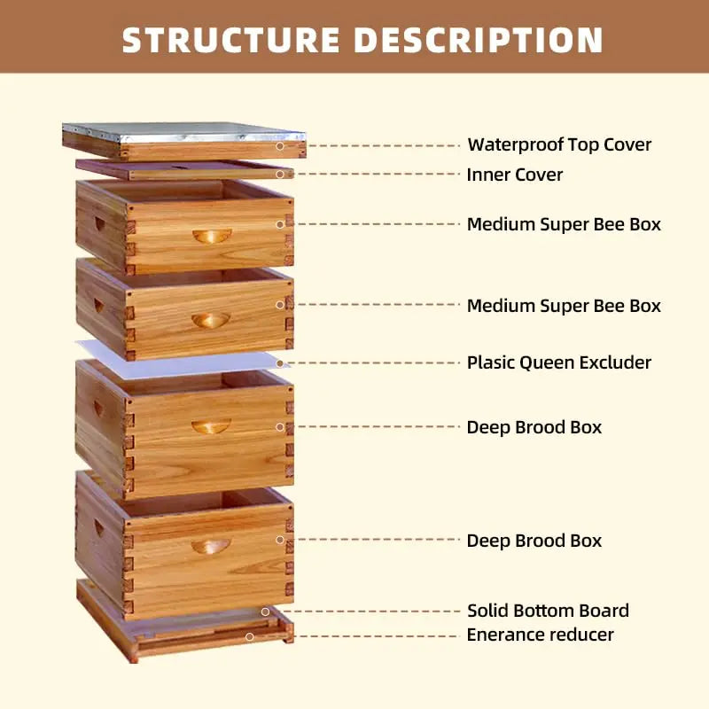 10Frame Langstroth Beehive, Wax-Coated with 100% Beeswax (2 Deep Box & 2 Medium Super No Frames Included) 4-Layer, Custom