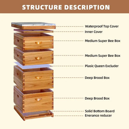 10Frame Langstroth Beehive, Wax-Coated with 100% Beeswax (2 Deep Box & 2 Medium Super No Frames Included) 4-Layer, Custom