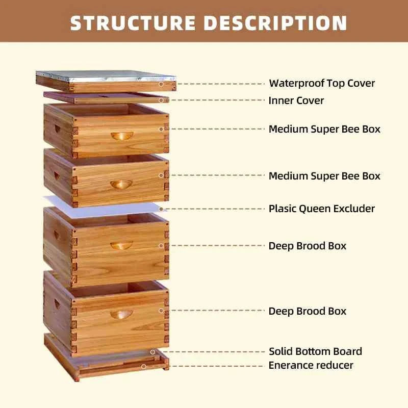 10Frame Langstroth Beehive, Wax-Coated with 100% Beeswax (2 Deep Box & 2 Medium Super No Frames Included) 4-Layer, Custom
