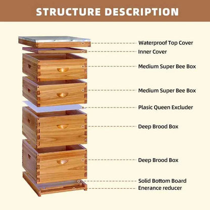 10Frame Langstroth Beehive, Wax-Coated with 100% Beeswax (2 Deep Box & 2 Medium Super No Frames Included) 4-Layer, Custom