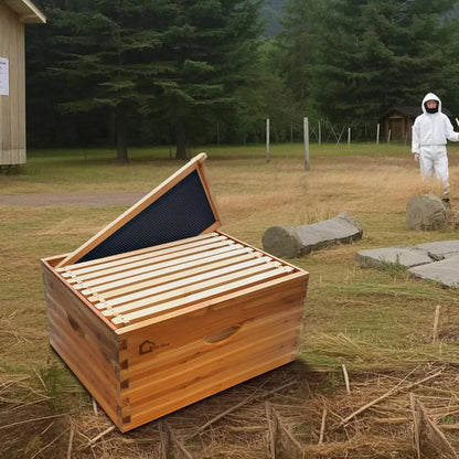 10-Frame Deep Brood Box, Wax Coated Bee Hives Deep Box with Beehives Frames and Wax Foundations, Langstroth Hive Body Brood Box for Beekeeping Supplement (Unassembled)