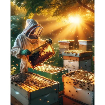 10 Pack Bee Frames Deep Bee Hive Frames and Wax Foundations Black Beehive Frams