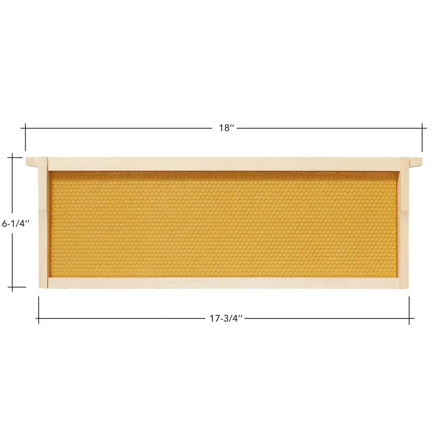 10 Assembled Beehive Frames with Waxed Natural Foundations for Beekeeping,