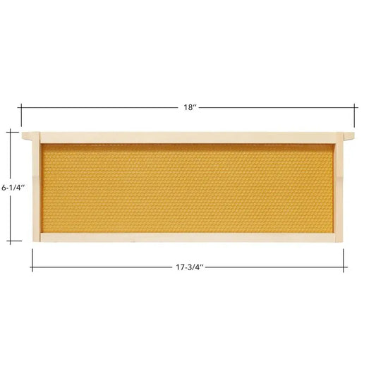 10 Assembled Beehive Frames with Waxed Natural Foundations for Beekeeping,