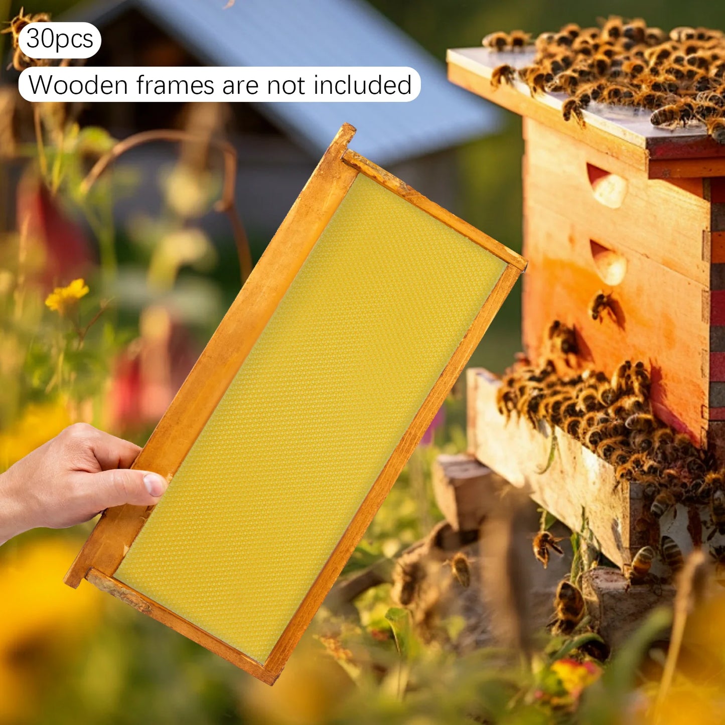 30-Pack Natural Beeswax Hive Foundations Beekeeper's Starter Kit 7.68x16.34" Beekeeping Sheets for Increased Honey Production
