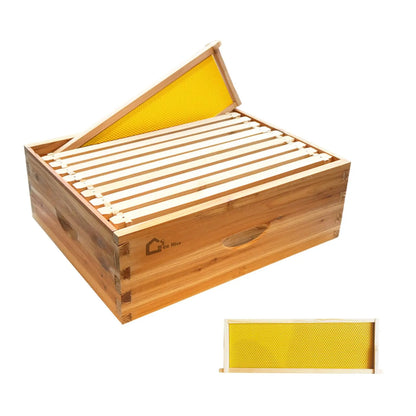 10-Frame Medium Super Bee Box, Wax Coated Bee Hives with Beehives Frames and Wax Foundations, Langstroth Honey Super for Beekeep