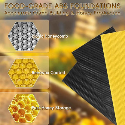 10-Frame Langstroth Beehive Beeswax Coated, Complete Bee Hive Kit Include Bee Frames and Waxed Foundation Sheets, Customized