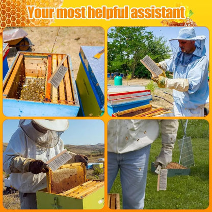 Natural Horse Hair Brush with Wooden Handle - Beekeeping Equipment for Hive Management