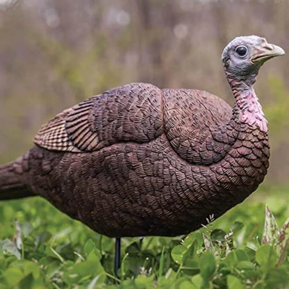 Primos Hunting Lil Gobstopper Hen