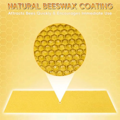 Natural Beeswax Coated Bee Frame Medium Foundation Sheets, Food-Grade Plastic Bee Hive Foundation for Medium Super Frames