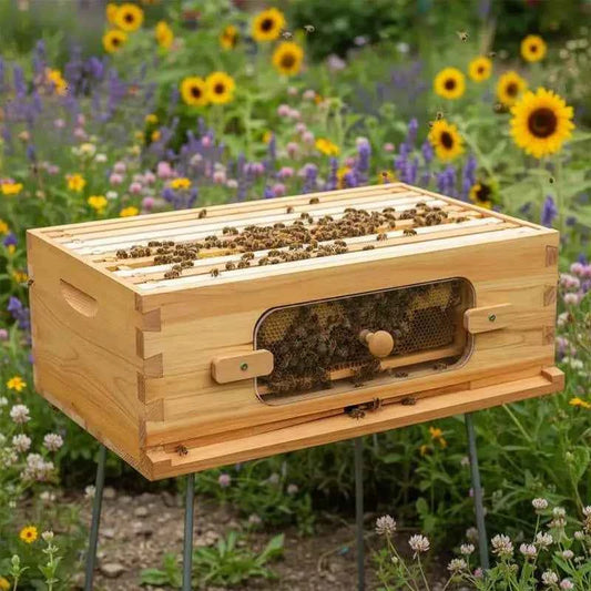 Natural Fir Wood Honey Super 19-7/8" x 16-1/4" x 6-5/8" For Apiary Backyard Orchard, Langstroth Hive 10 Frames Foundations Beeswax Coated Transparent Observation Windows Medium Size Professional Beekeeping Equipment
