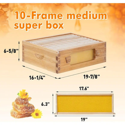 10 Frame Bee Hive Starter Kit with Windows