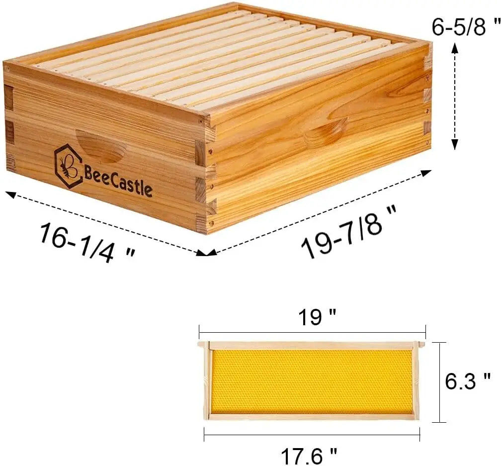 10 Frame Medium Super Bee Hive Box, Langstroth Honey Bee Hive with Beeswax Coating, Frames and Foundations