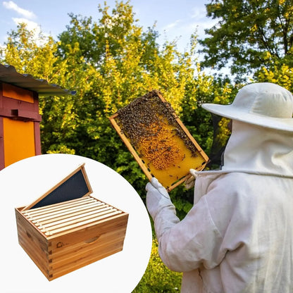 10-Frame Deep Brood Box, Wax Coated Bee Hives Deep Box with Beehives Frames and Wax Foundations, Langstroth Hive Body Brood Box for Beekeeping Supplement (Unassembled)