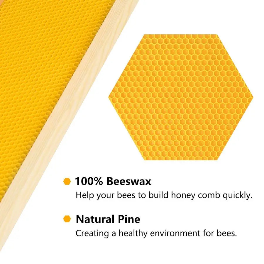 Medium Super Box Wooden Beehive Frames and Beeswax Dipped Plastic Foundations for Beekeeping Unassembled