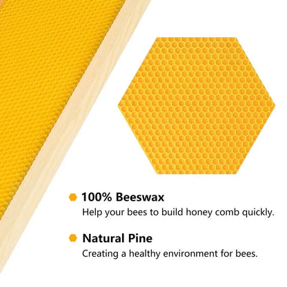 Medium Super Box Wooden Beehive Frames and Beeswax Dipped Plastic Foundations for Beekeeping Unassembled