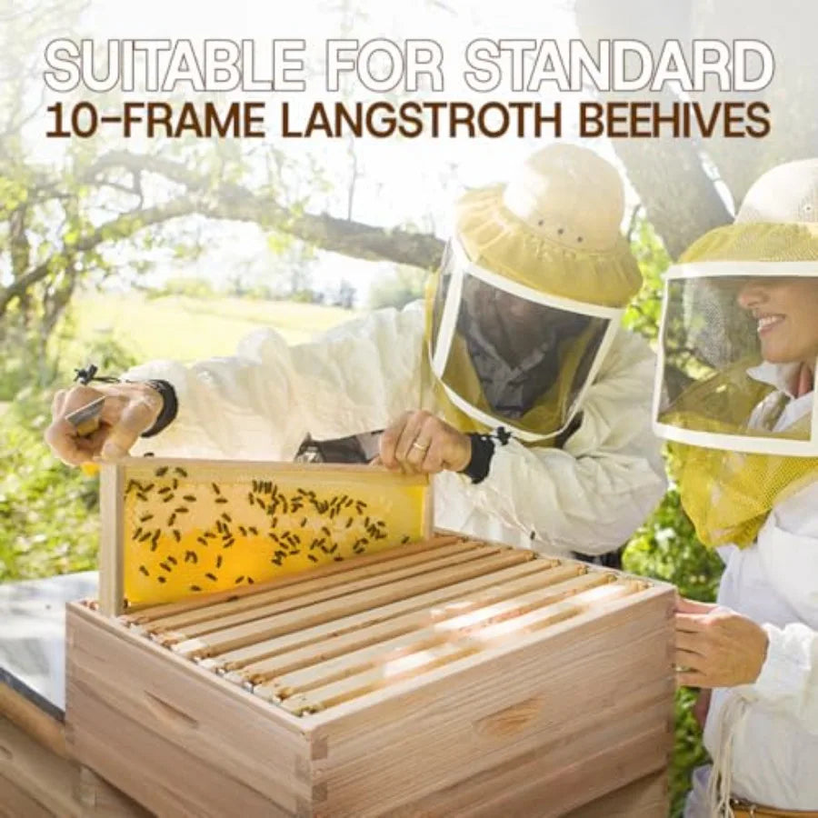 Medium Super Beehive BoxLangstoth Super Honey Bee Hive Box Include Beehive Frames and Waxed Foundations