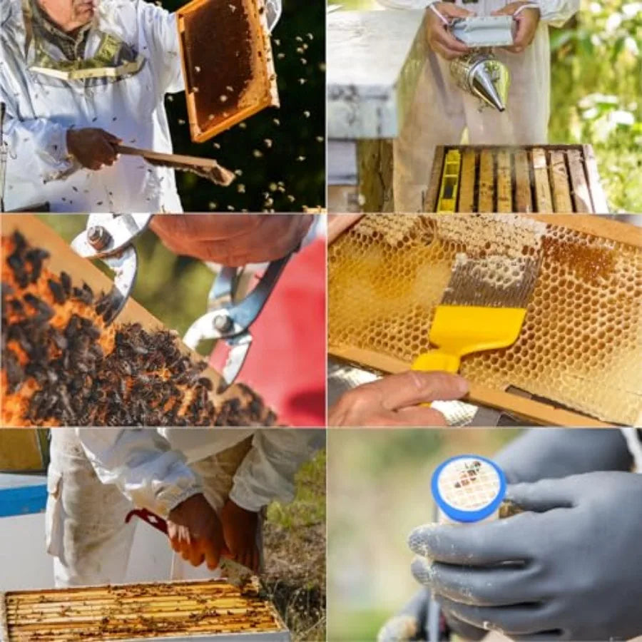 Blisstime 13pcs Bee Hives Starter Kit Beekeeping Supplies with Bee Suit, Bee Supplies and Equipment with Bee Smoker, Honey Bee