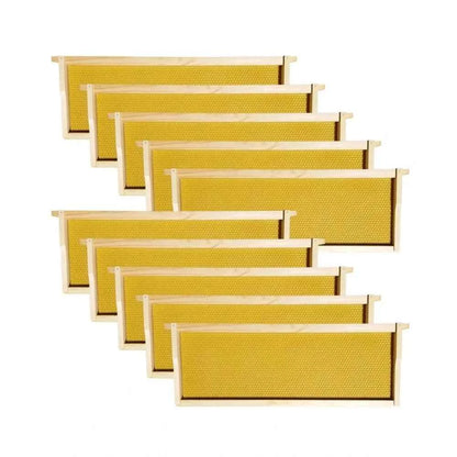 10-Frame Medium Super Box – Wax-Dipped Fir Wood Langstroth Honey Super with Dovetail Joints – Ready to Use