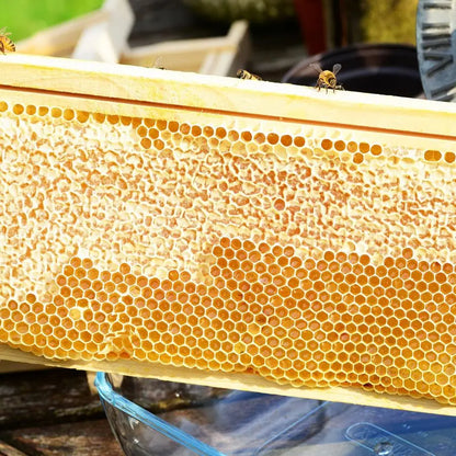 Medium Super Box Wooden Beehive Frames and Beeswax Dipped Plastic Foundations for Beekeeping Unassembled