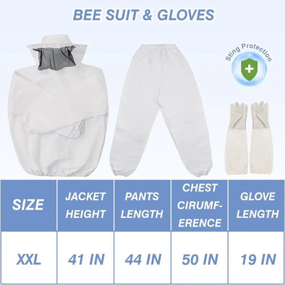 Handcrafted Painted Bee Hive Kit with Essential Beekeeping Gear and Protective Suit
