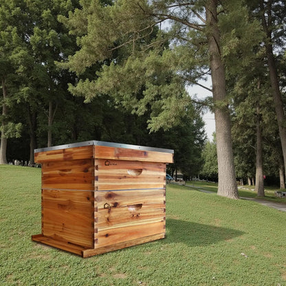 10-Frame Beehive Starter Kit Wax-Coated with 1 Deep Brood Box & 1 Medium Super Bee Box for Beekeeper Beekeeping Supplies
