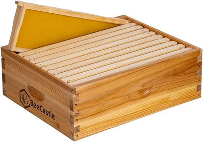 10 Frame Medium Super Bee Hive Box, Langstroth Honey Bee Hive with Beeswax Coating, Frames and Foundations
