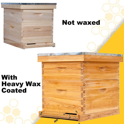 10-Frame Langstroth Bee Hive Coated with Beeswax Includes Beehive Frames and Foundations Beekeeping Starter Kit