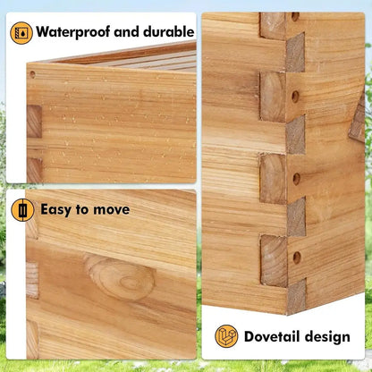 10 Frame Bee Hive Starter Kit with Windows